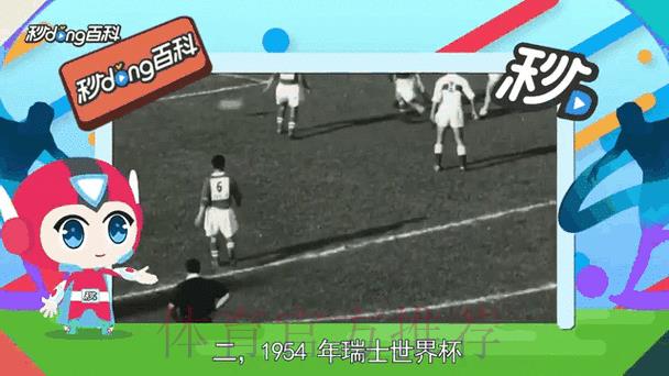 世界杯赛事比分平台热门动态深度解析与精选推荐